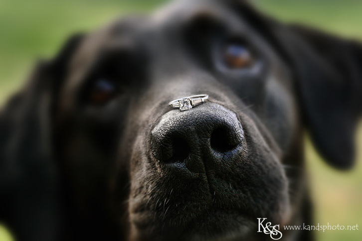 Dallas Wedding Photographers - K & S Photography