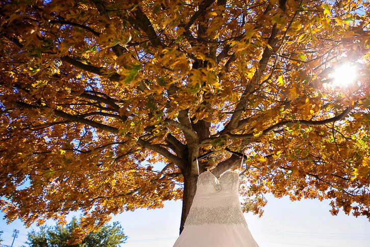 Hidden Springs Wedding by Dallas Wedding Photographers - K & S P