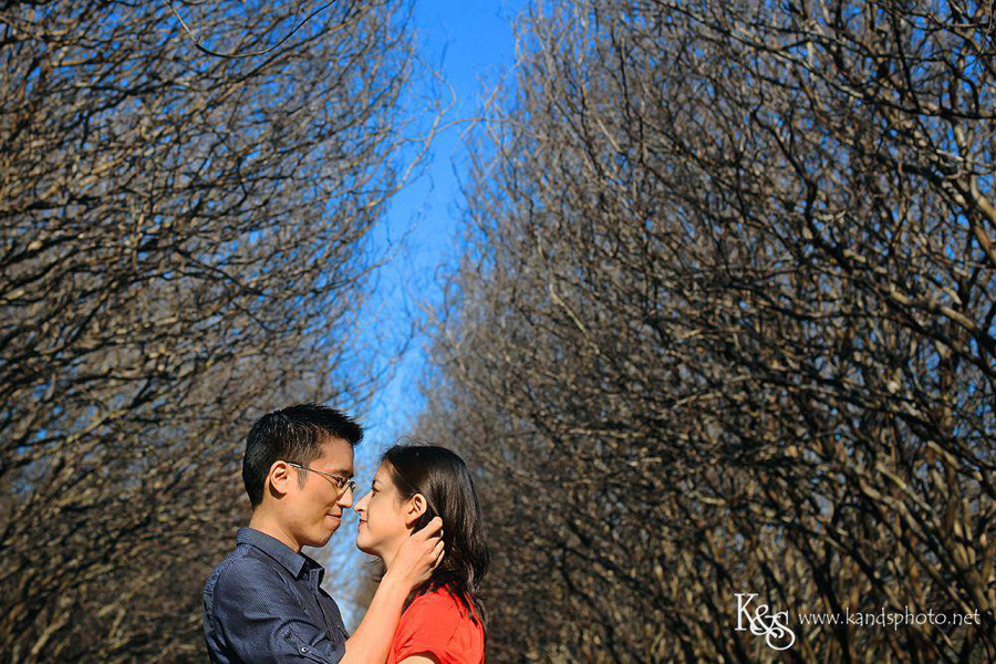 Dallas Wedding Photographers - K & S Photography