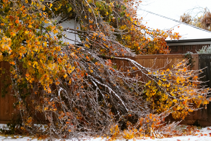 Dallas Wedding Photographers - K & S Photography
