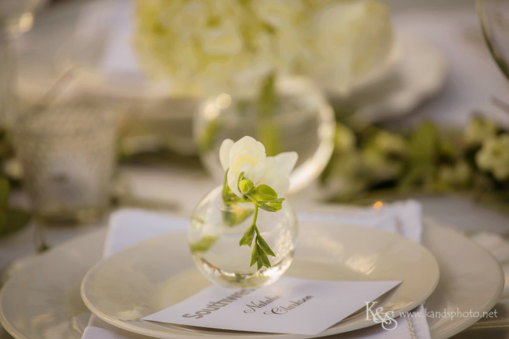 Diner en Blanc Dallas