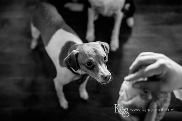 wedding at flour mill mckinney