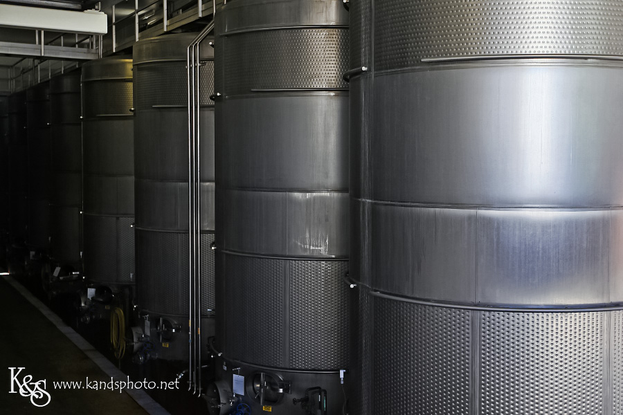 Wine Tasting in Napa Valley California | Napa Valley and Dallas Wedding Photographers