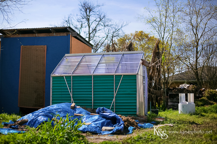 New Orleans Photographer- K & S Photography