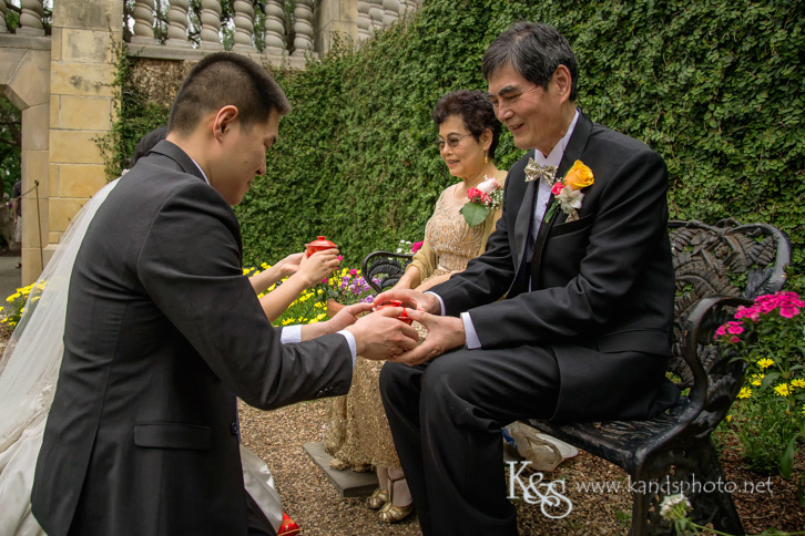 dallas chinese wedding photographer