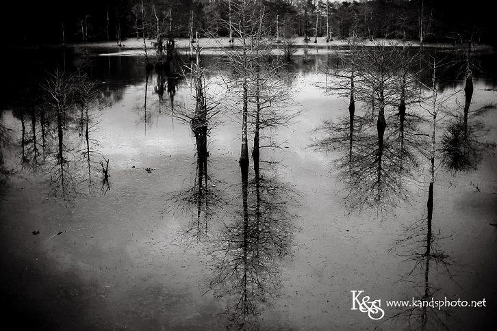 New Orleans Wedding Photographers - K & S Photography