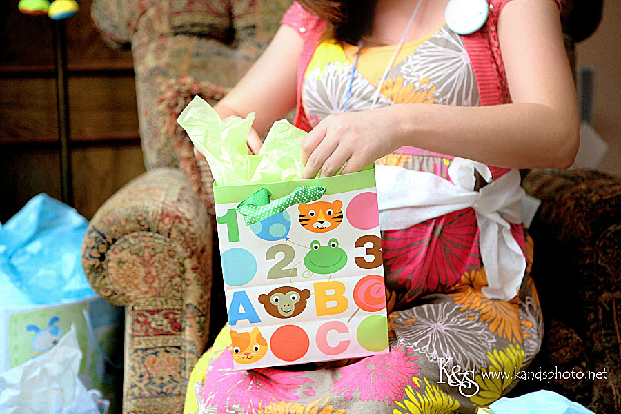Dallas Photographers - Karey's Baby Shower