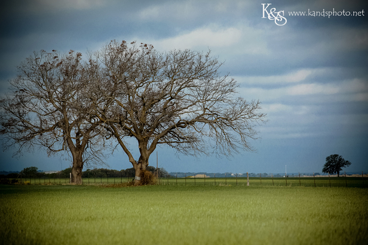 Dallas Wedding Photographers - K & S Photography