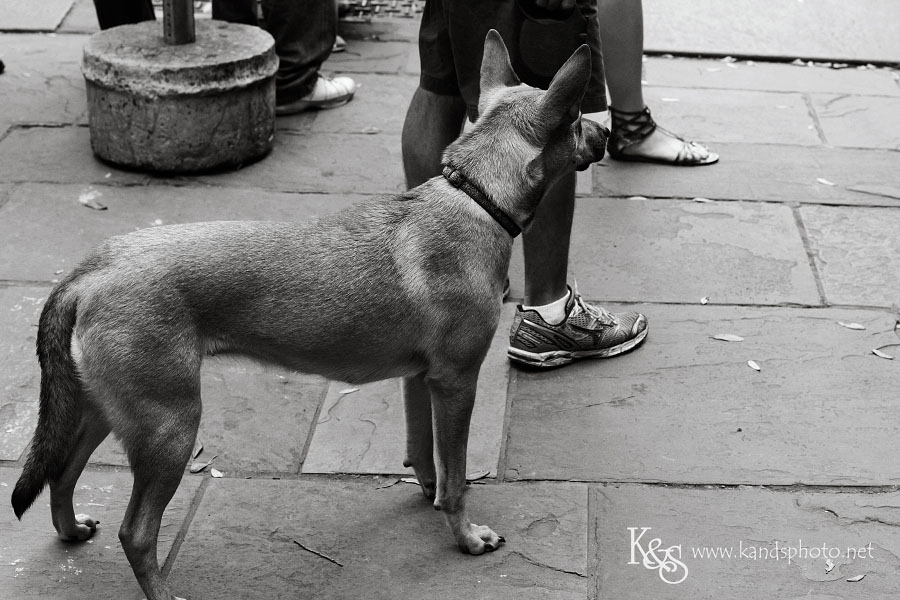 Street Photography in New Orleans Part 1