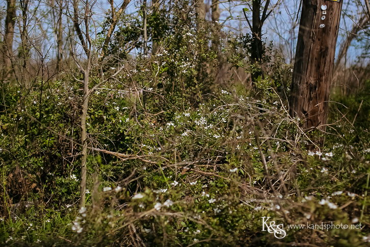 New Orleans Photographer- K & S Photography