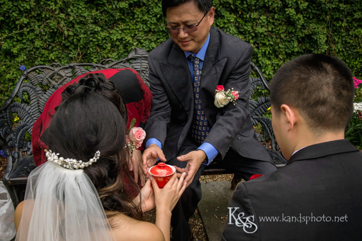 dallas chinese wedding photographer