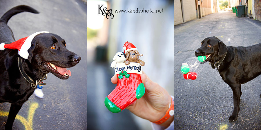 Amanda and Barrett. Photographs by Dallas Photographers, K & S Photography