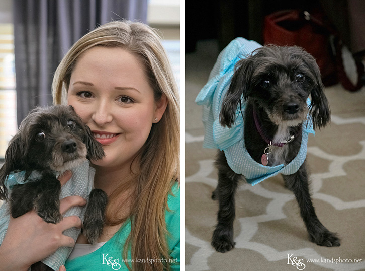 Dallas Family Photographers - K & S Photography