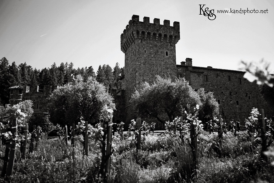 Wine Tasting in Napa Valley California | Napa Valley and Dallas Wedding Photographers