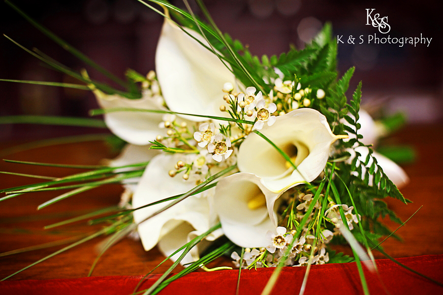 Eric and Randi's Wedding at La Buena Vida Vineyards in Grapevine Sneakpeak. Photographys by Dallas Wedding Photographers, K & S Photography