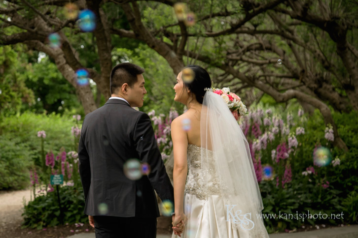 dallas chinese wedding photographer