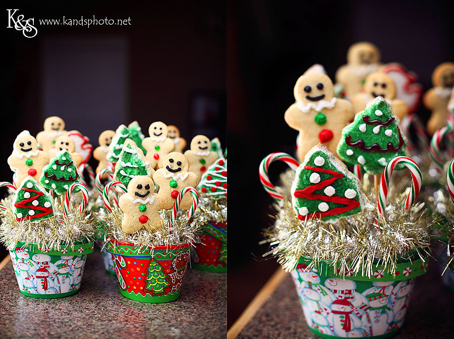 Christmas Cookie Bouquets. Photographs by Dallas Wedding Photographers, K & S Photography