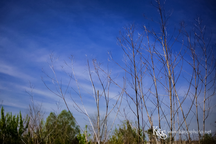 New Orleans Photographer- K & S Photography