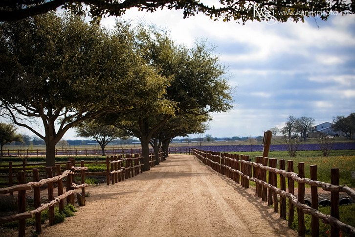 Dallas Wedding Photographers - K & S Photography
