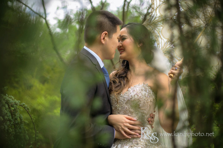 dallas chinese wedding photographer