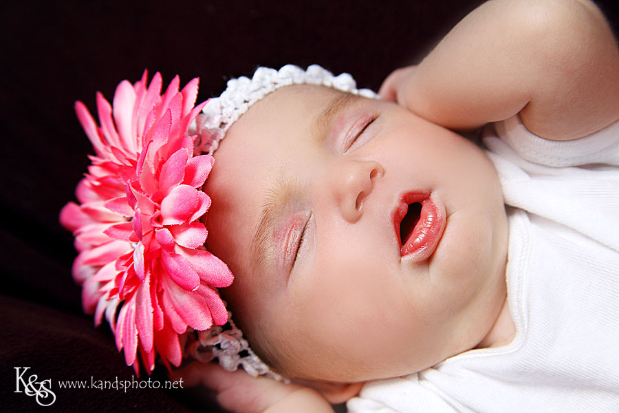 Bella's Newborn Pictures. Photographs by Dallas Portrait Photographers, K & S Photography