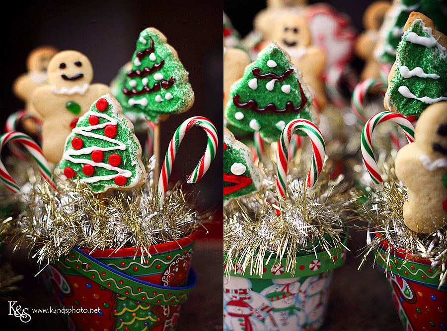 Christmas Cookie Bouquets. Photographs by Dallas Wedding Photographers, K & S Photography