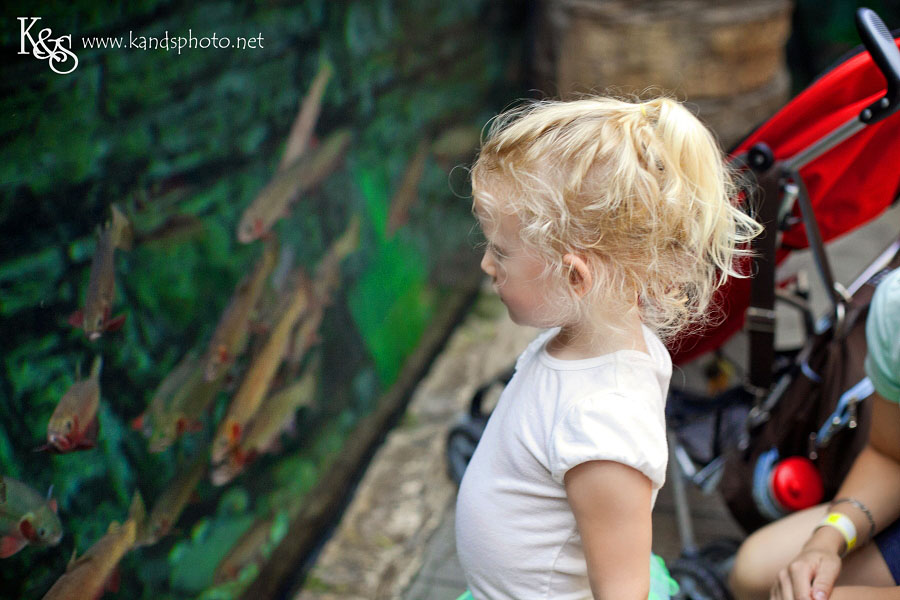 Benoit Family PIctures taken in Denver Colorado