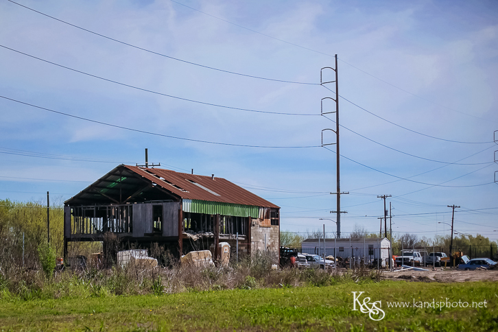 New Orleans Photographer- K & S Photography