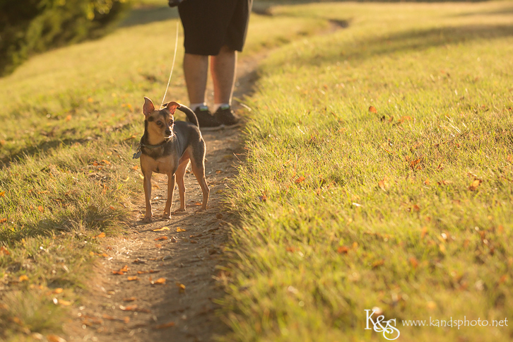 Dallas Family Photographers - K & S Photography