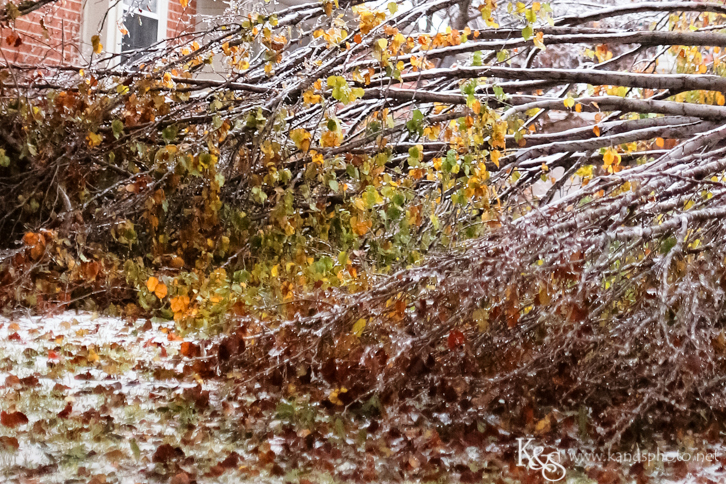 Dallas Wedding Photographers - K & S Photography