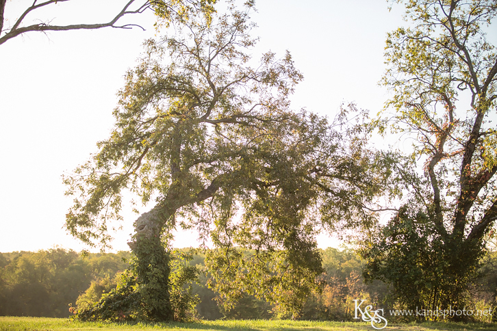 Dallas Family Photographers - K & S Photography