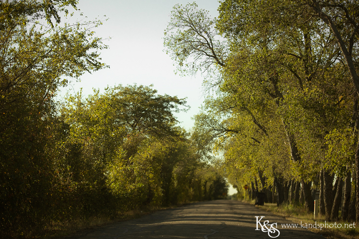 Dallas Family Photographers - K & S Photography