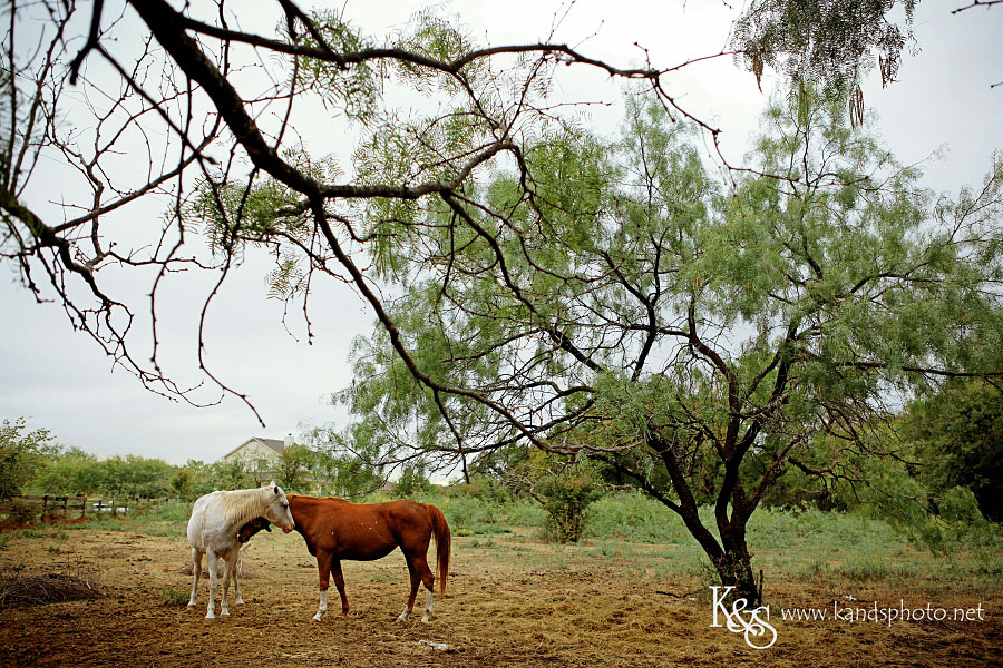 Matt and Rachel Wedding Photo Shoot | Dallas Wedding Photographer
