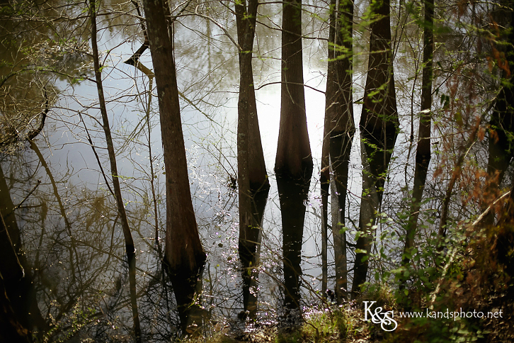 New Orleans Wedding Photographers - K & S Photography