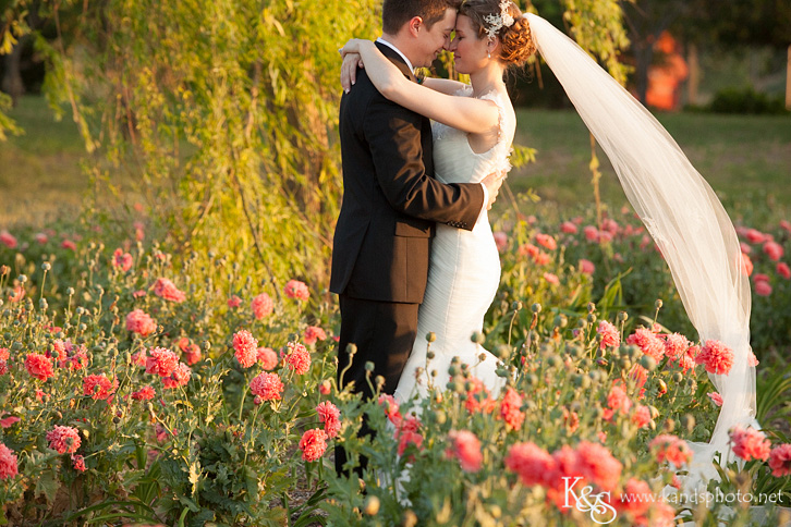 Dallas Wedding Photographers - K & S Photography