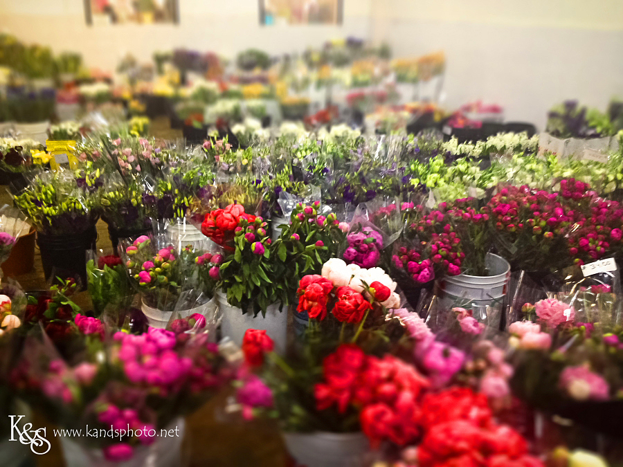 Dallas Wedding Photographers - K & S Photography