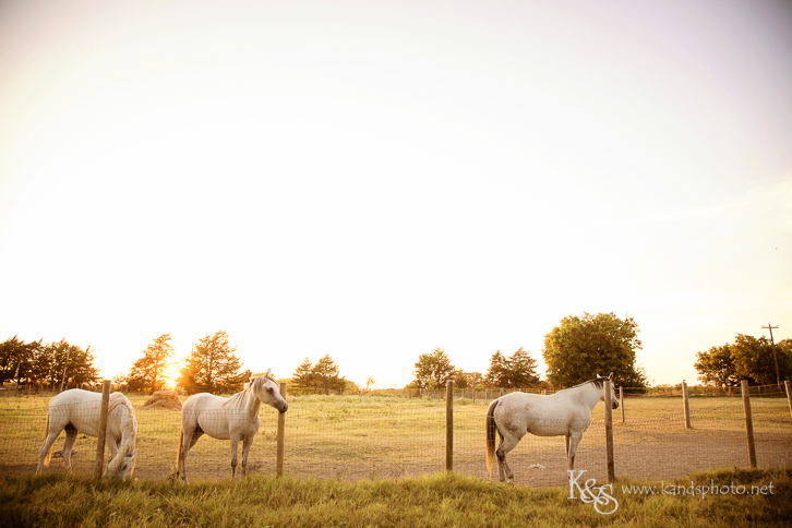 dallas wedding photographer