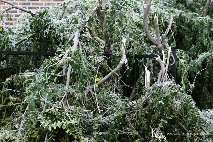 Dallas Wedding Photographers - K & S Photography