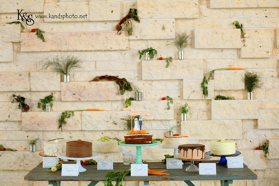 Dallas Wedding Photographers - K & S Photography