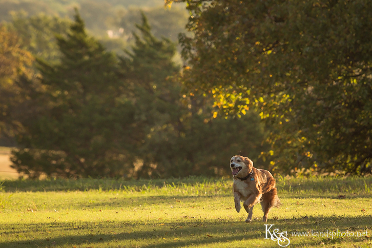 Dallas Family Photographers - K & S Photography