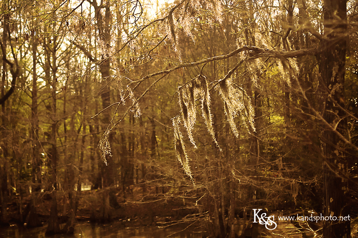 New Orleans Wedding Photographers - K & S Photography