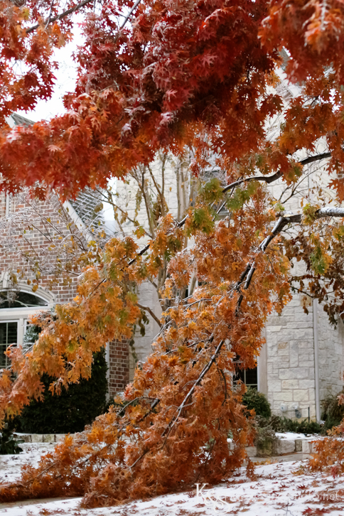 Dallas Wedding Photographers - K & S Photography