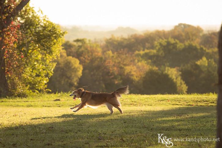 Dallas Family Photographers - K & S Photography