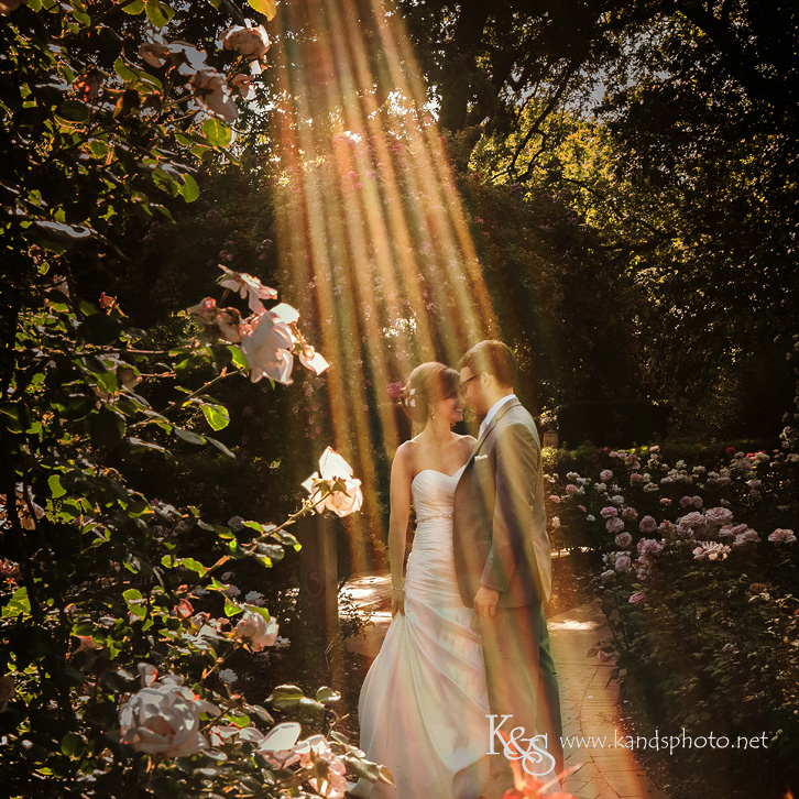 dallas wedding photographer