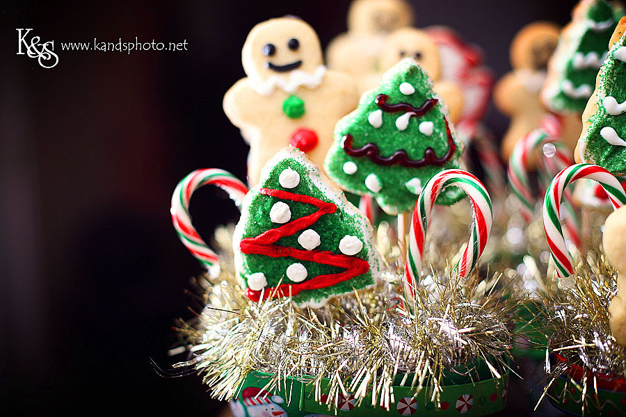 Christmas Cookie Bouquets. Photographs by Dallas Wedding Photographers, K & S Photography