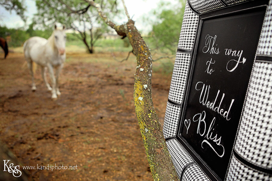 Matt and Rachel Wedding Photo Shoot | Dallas Wedding Photographer