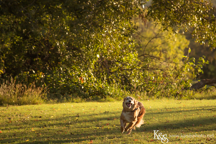 Dallas Family Photographers - K & S Photography