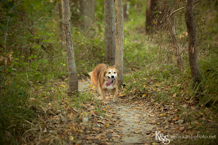 Dallas Family Photographers - K & S Photography