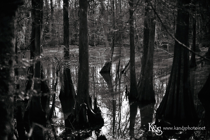 New Orleans Wedding Photographers - K & S Photography