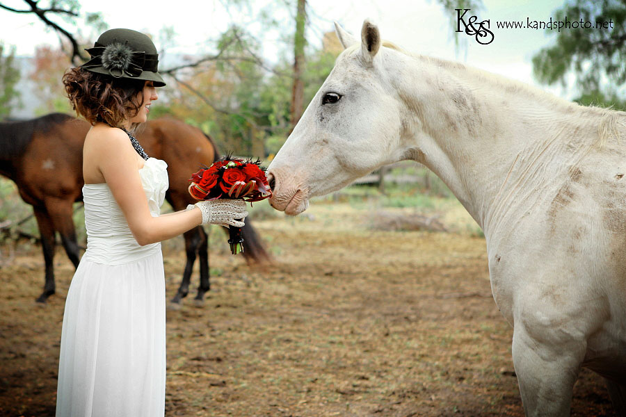 Matt and Rachel Wedding Photo Shoot | Dallas Wedding Photographer